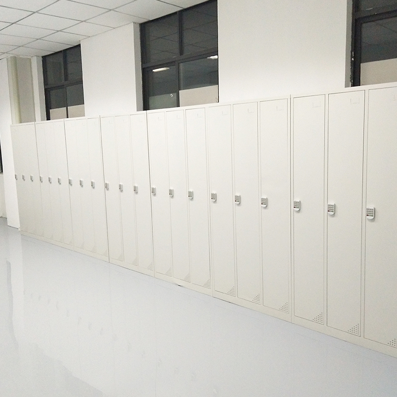 پیشہ ورانہ اسٹیل لیب لباس اور جوتے کی الماری